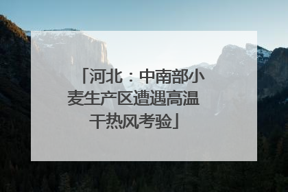 河北：中南部小麦生产区遭遇高温干热风考验