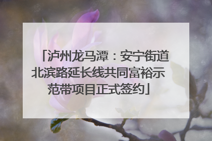 泸州龙马潭：安宁街道北滨路延长线共同富裕示范带项目正式签约