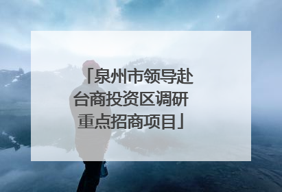 泉州市领导赴台商投资区调研重点招商项目