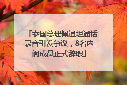 泰国总理佩通坦通话录音引发争议，8名内阁成员正式辞职