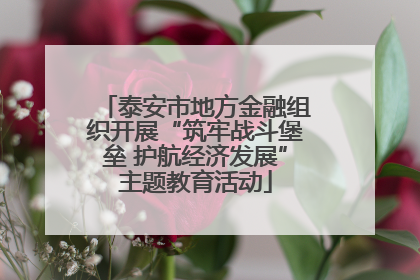 泰安市地方金融组织开展“筑牢战斗堡垒 护航经济发展”主题教育活动