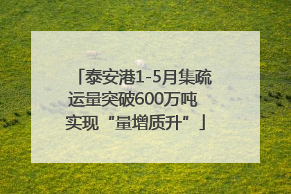 泰安港1-5月集疏运量突破600万吨 实现“量增质升”