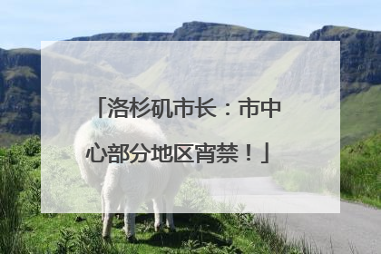 洛杉矶市长：市中心部分地区宵禁！