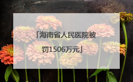 海南省人民医院被罚1506万元