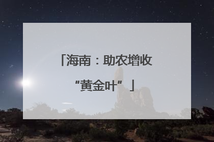 海南：助农增收 “黄金叶”