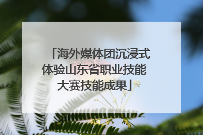 海外媒体团沉浸式体验山东省职业技能大赛技能成果