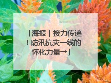 海报｜接力传递！防汛抗灾一线的怀化力量→