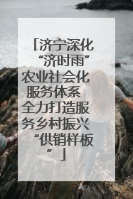 济宁深化“济时雨”农业社会化服务体系 全力打造服务乡村振兴“供销样板”