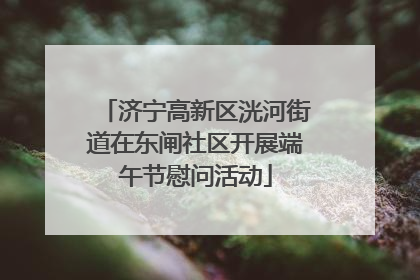 济宁高新区洸河街道在东闸社区开展端午节慰问活动