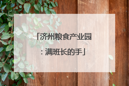 济州粮食产业园：满班长的手