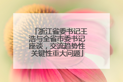 浙江省委书记王浩与全省市委书记座谈，交流趋势性关键性重大问题