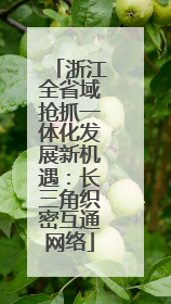 浙江全省域抢抓一体化发展新机遇：长三角织密互通网络