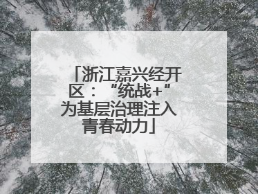 浙江嘉兴经开区：“统战+”为基层治理注入青春动力
