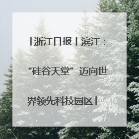 浙江日报丨滨江：“硅谷天堂”迈向世界领先科技园区
