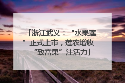 浙江武义：“水果莲”正式上市，莲农增收“致富果”注活力