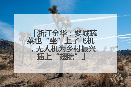 浙江金华：婺城蔬菜也“坐”上了飞机，无人机为乡村振兴插上“翅膀”