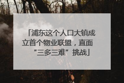 浦东这个人口大镇成立首个物业联盟，直面“三多三难”挑战