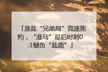 淮盐“兄弟局”竞逐焦灼，“淮马”最后时刻0:1憾负“盐鹿”