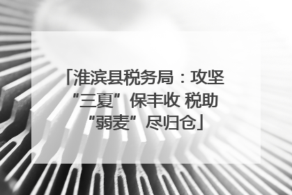 淮滨县税务局：攻坚“三夏”保丰收 税助“弱麦”尽归仓