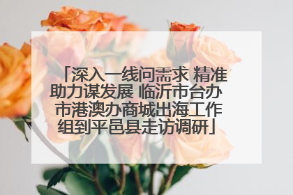 深入一线问需求 精准助力谋发展 临沂市台办 市港澳办商城出海工作组到平邑县走访调研