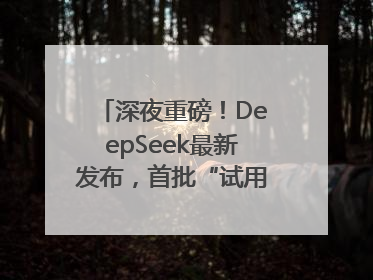 深夜重磅！DeepSeek最新发布，首批“试用体验”出炉→