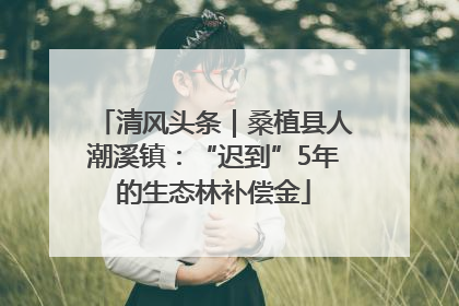 清风头条｜桑植县人潮溪镇：“迟到”5年的生态林补偿金