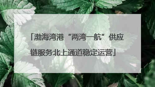 渤海湾港“两湾一航”供应链服务北上通道稳定运营
