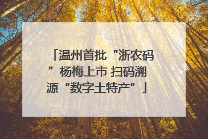 温州首批“浙农码”杨梅上市 扫码溯源“数字土特产”