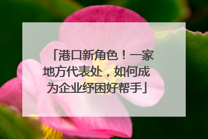 港口新角色！一家地方代表处，如何成为企业纾困好帮手