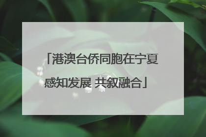 港澳台侨同胞在宁夏感知发展 共叙融合