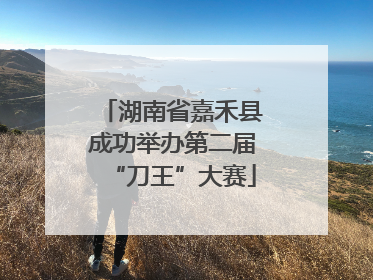 湖南省嘉禾县成功举办第二届“刀王”大赛