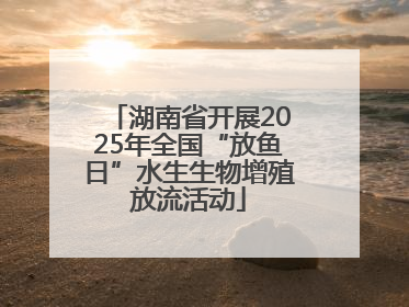 湖南省开展2025年全国“放鱼日”水生生物增殖放流活动