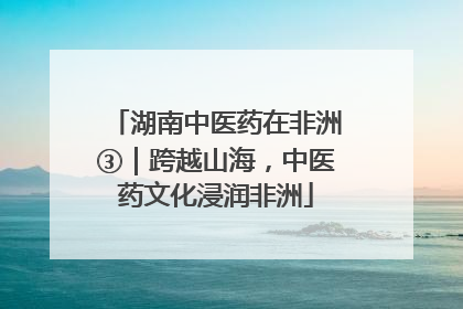湖南中医药在非洲③｜跨越山海，中医药文化浸润非洲