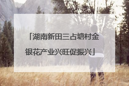 湖南新田三占塘村金银花产业兴旺促振兴