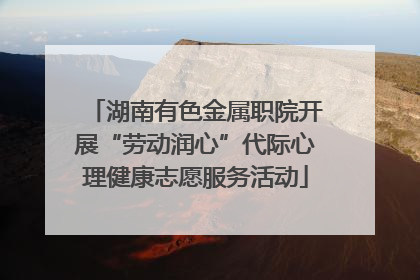 湖南有色金属职院开展“劳动润心”代际心理健康志愿服务活动