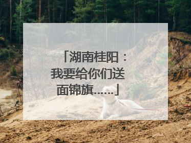 湖南桂阳：我要给你们送面锦旗……