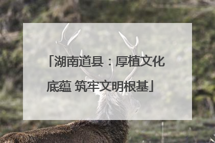 湖南道县：厚植文化底蕴 筑牢文明根基