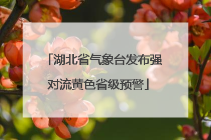 湖北省气象台发布强对流黄色省级预警
