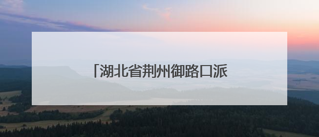 湖北省荆州御路口派出所因地制宜，整合多方力量共建平安校园