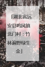 湖北省远安县鸣凤镇北门村：竹林遍野绿生金