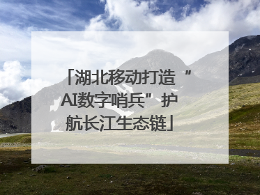 湖北移动打造“AI数字哨兵”护航长江生态链