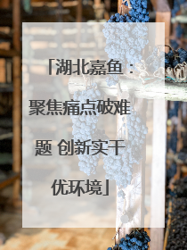 湖北嘉鱼：聚焦痛点破难题 创新实干优环境