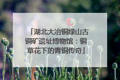 湖北大冶铜绿山古铜矿遗址博物馆：铜草花下的青铜传奇