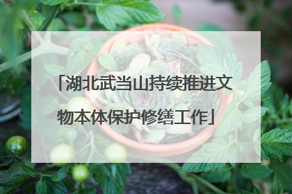 湖北武当山持续推进文物本体保护修缮工作