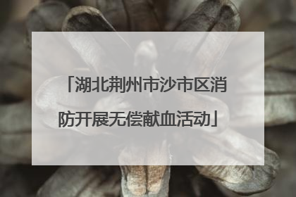 湖北荆州市沙市区消防开展无偿献血活动