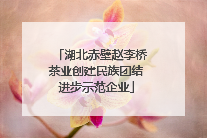 湖北赤壁赵李桥茶业创建民族团结进步示范企业