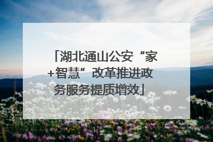 湖北通山公安“家+智慧”改革推进政务服务提质增效