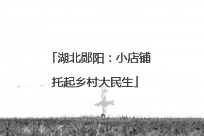 湖北郧阳：小店铺托起乡村大民生