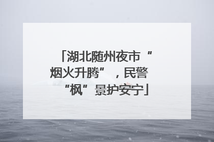 湖北随州夜市“烟火升腾”，民警“枫”景护安宁