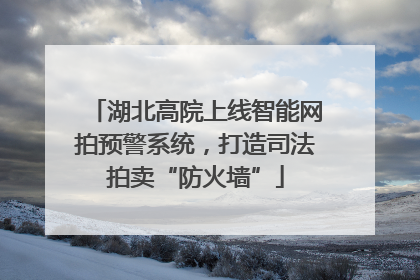 湖北高院上线智能网拍预警系统，打造司法拍卖“防火墙”